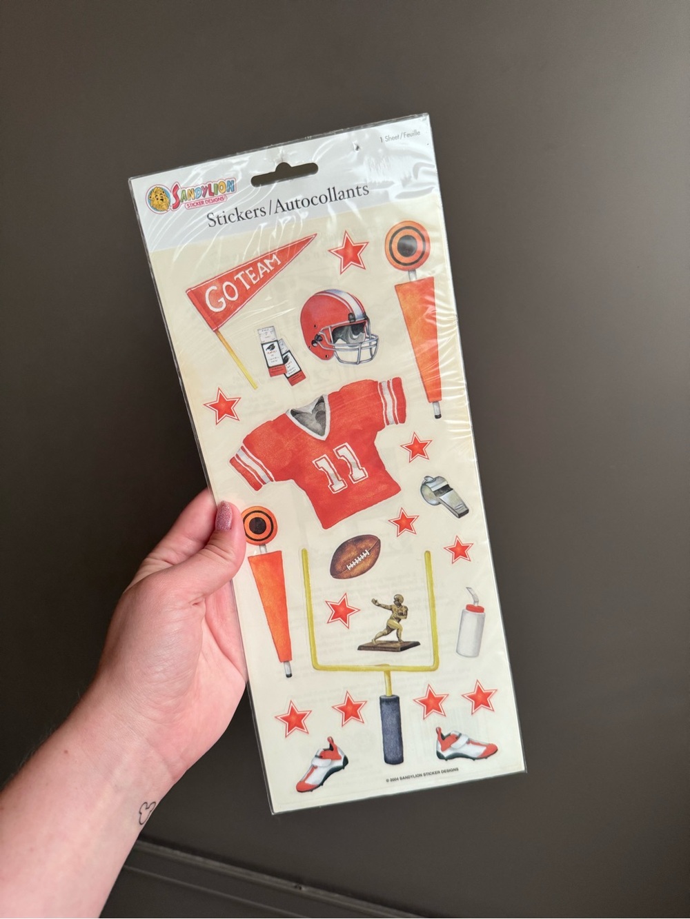 Sandylion Football Sticker Sheet - Vintage 2008